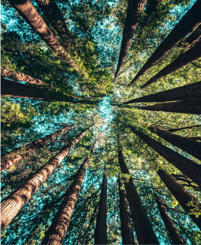 casey-horner-4rDCa5hBlCs-unsplash 1.png casey-horner-4rDCa5hBlCs-unsplash 1.png